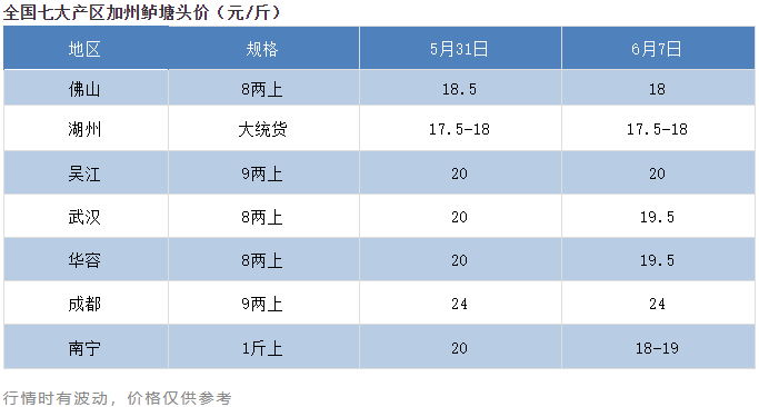 广东反季节加州鲈上市，全国鱼价跌0.5-2元/斤！