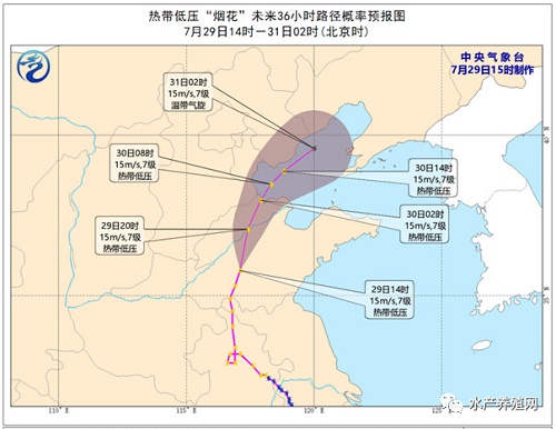 江苏加州鲈新鱼只卖9元？鱼价持续下滑，养殖户怒了：收购商恶意压价！真相到底是什么