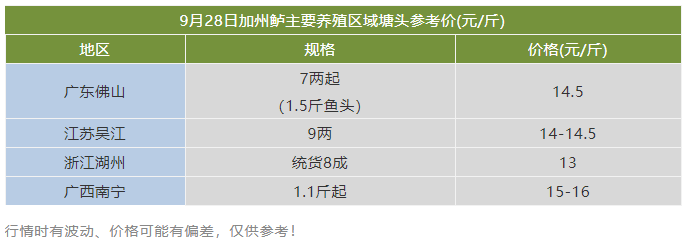 广东同比高2元/斤，江浙却同比低3元/斤！这条鱼行情两极分化！