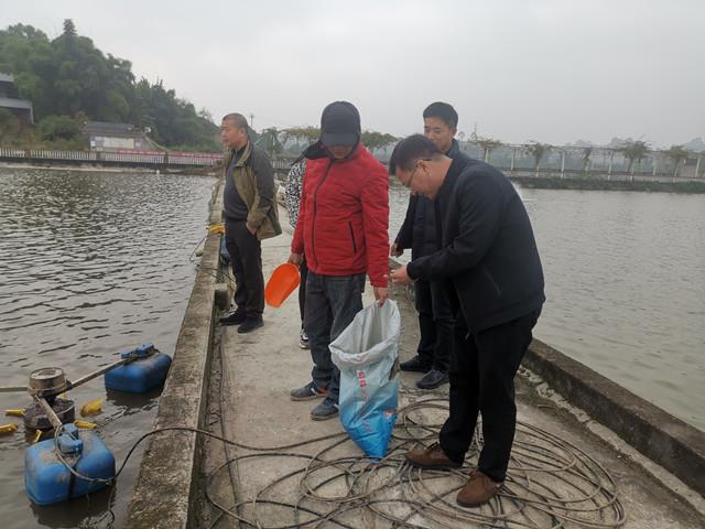 重庆永川开展池塘加州鲈生态养殖示范现场指导