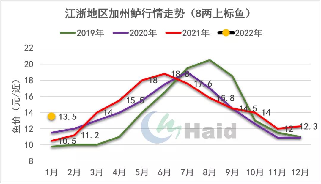 加州鲈行情全线上涨，已达近五年同期最高峰！这条鱼如此“疯狂”的原因是什么？