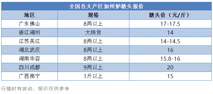 最高涨1.5元/斤！多地加州鲈价格上涨，后续价格有望继续上行