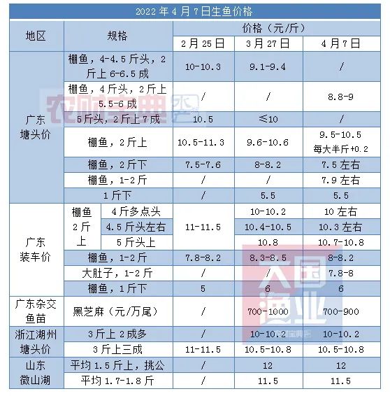 下滑0.3元/斤！进入投苗季，头批苗仍供不应求，请养户擦亮眼睛选苗