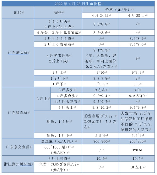 这条鱼大烂市？全国养殖火爆，90%鱼苗却大暴亡！多地养殖户来广东抢苗，浙江苗价也