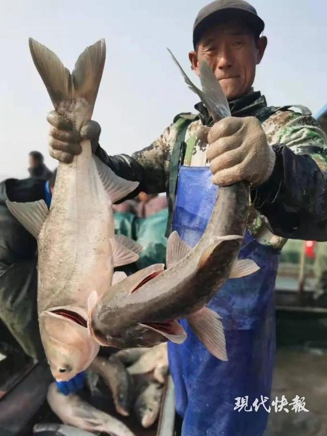 江苏扬州高邮湖再添两件地理标志商标