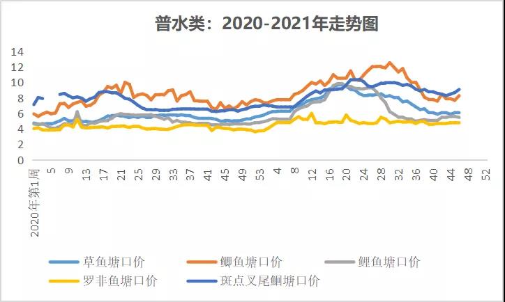 大草鱼存塘同比减少，后市价格或将持续走高！|一周鱼价行情播报