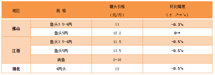 病鱼进一步冲击市场，鱼价继续探底！展望五一后鱼价会反弹