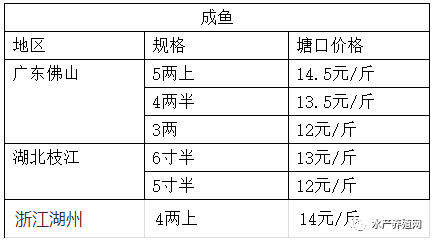 疫情反弹，形势严峻，黄颡鱼市场惨遭牵连，价格普遍下滑1-2元！未来鱼价怎么走？