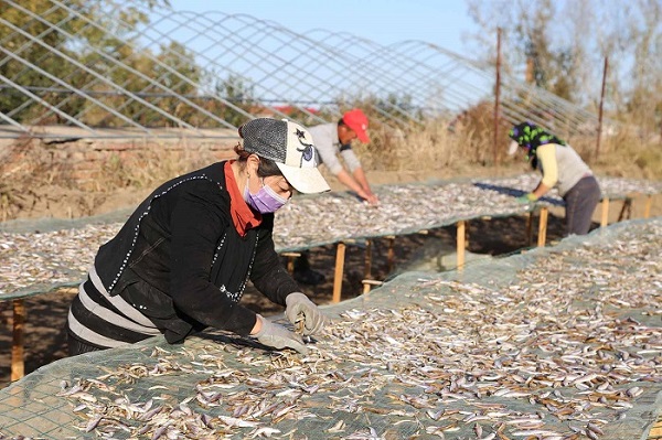 江滨特色养殖促致富