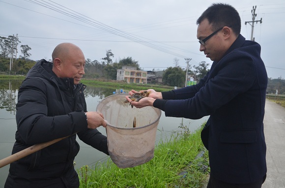 重庆市梁平区有个“泥鳅大王” 在泥巴里翻出了大动静