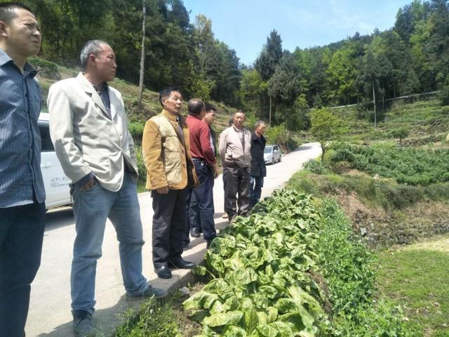 重庆市武隆区举办稻鳅综合种养示范 基地建设培训