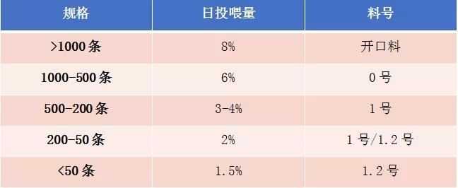 泥鳅高密度养殖模式注意这些关键点，亩利润超19000元！