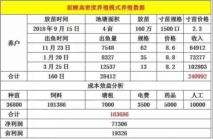 泥鳅高密度养殖模式注意这些关键点，亩利润超19000元！