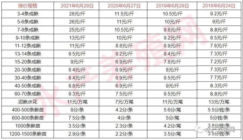 一天一个价！两周涨12元，大泥鳅冲击30元！母鱼价格涨了4倍多！泥鳅苗供不应求