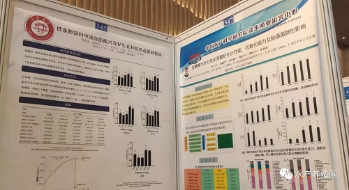 顶级盛会，大咖云集！第十三届世界华人鱼虾营养学术研讨会盛大开幕！