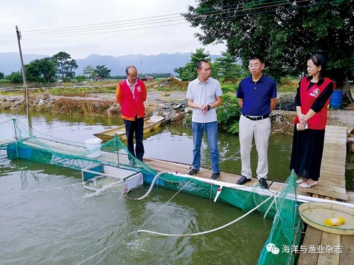 罗远芬：心系清远 全心全意服务家乡农业