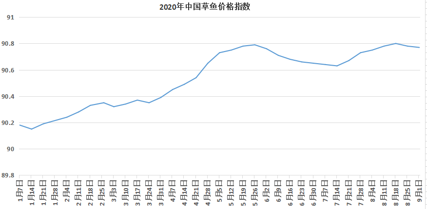 草鱼即将牛市？热水鱼大量上市，这里的经销商竟高价收鱼，鱼价涨0.3元/斤