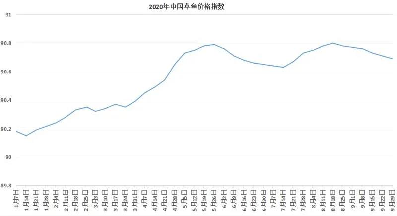 草鱼种最大跌0.6元/斤，成鱼止跌反弹，双节鱼价有望回暖！