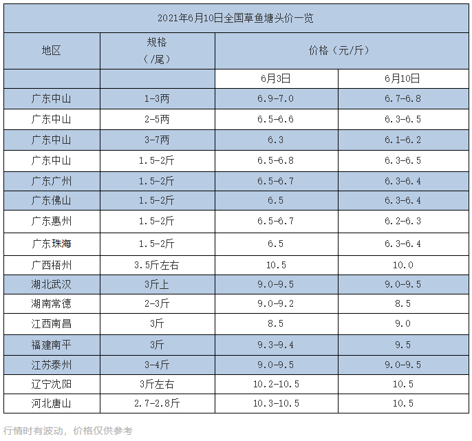 燃爆！草鱼止跌回涨，最高涨0.5元/斤！这里近8千斤草鱼却死了！