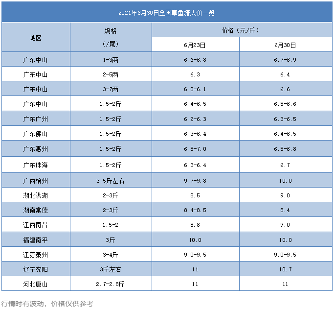 冲向12元/斤！全国鱼价或再创新高，草鱼全面牛市背后发生了什么？