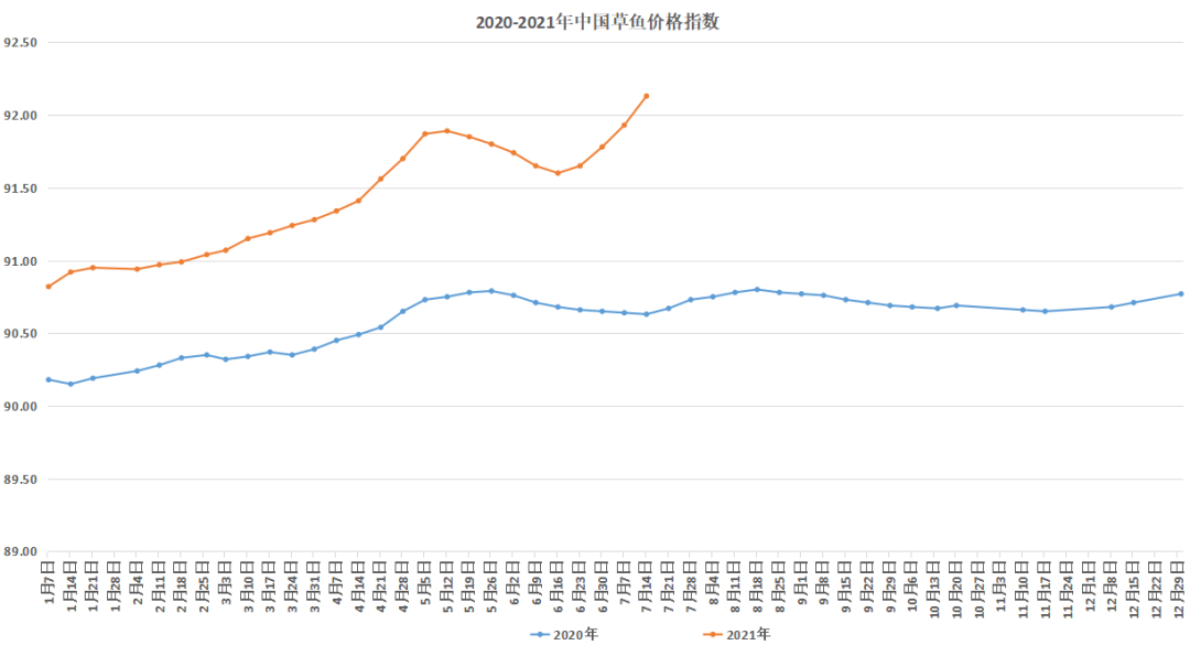 草鱼再暴发！鱼车疯狂抢购广东苗，最高涨1.5元/斤！鱼价连涨一个月！