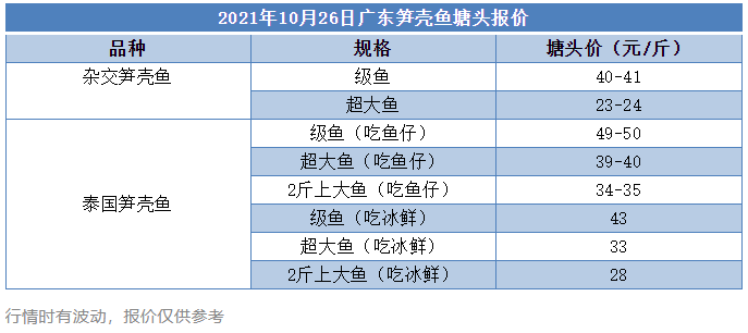 涨破40元/斤！这条鱼要起飞了！另一个品种却……| 笋壳鱼行情播报