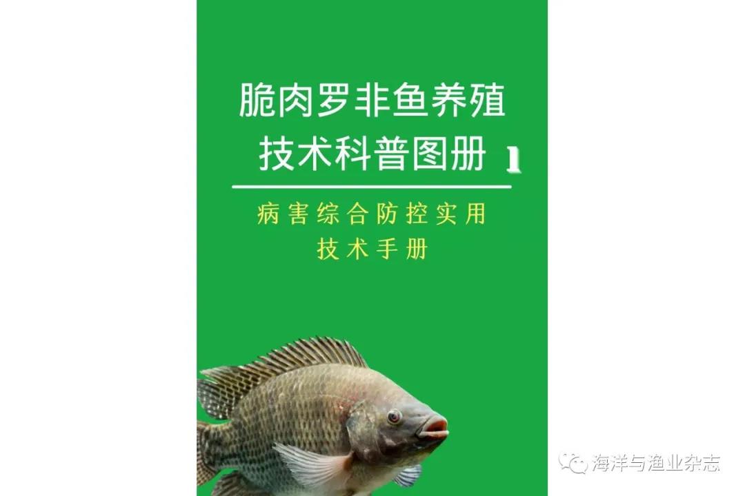 广州市农村科技特派员走进顺源水产 助力花都区脆肉罗非鱼产业健康发展