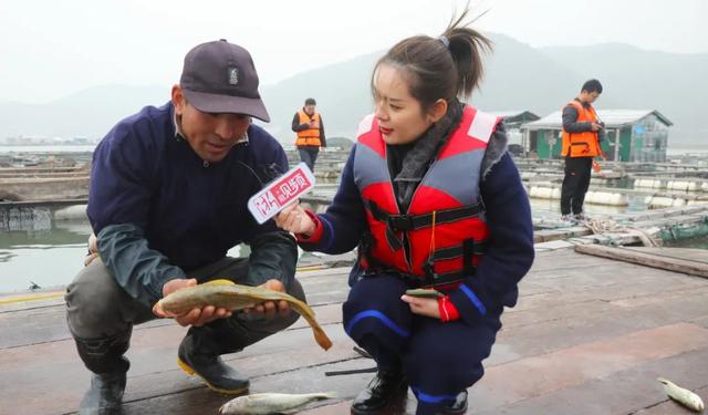 聚焦黄鱼养殖第一村！解锁象山高泥“致富密码”