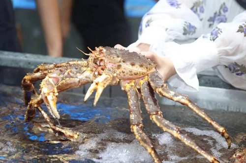 盒马鲜生入驻合肥，安徽首家店9月开业，家门口也能吃到世界各地的水产啦