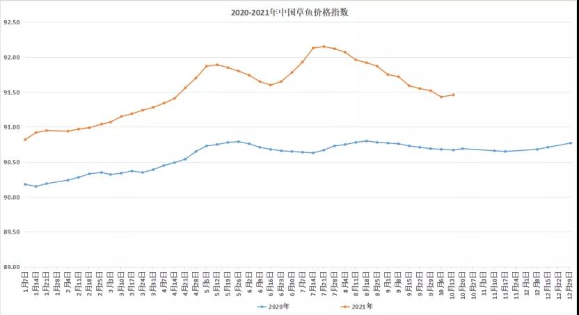 惨烈！福建大量鱼又缺氧暴亡，养户或损失数千万元！