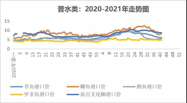 全线上涨！草鱼触底反弹？安徽5斤草鱼涨1.5元/斤！|一周鱼价行情播报