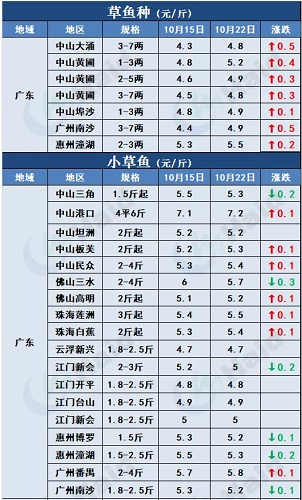 鱼价 |全线涨！广东草鱼种上涨0.5元/斤，生鱼继续攀升！其他品种行情你怎么看？