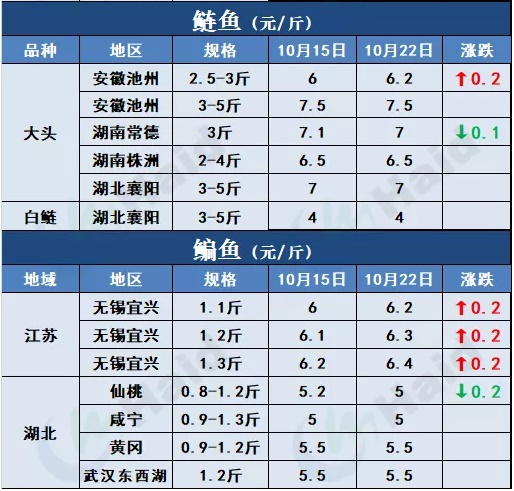 鱼价 |全线涨！广东草鱼种上涨0.5元/斤，生鱼继续攀升！其他品种行情你怎么看？