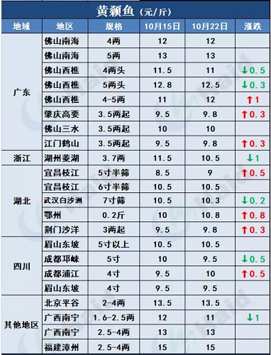 鱼价 |全线涨！广东草鱼种上涨0.5元/斤，生鱼继续攀升！其他品种行情你怎么看？