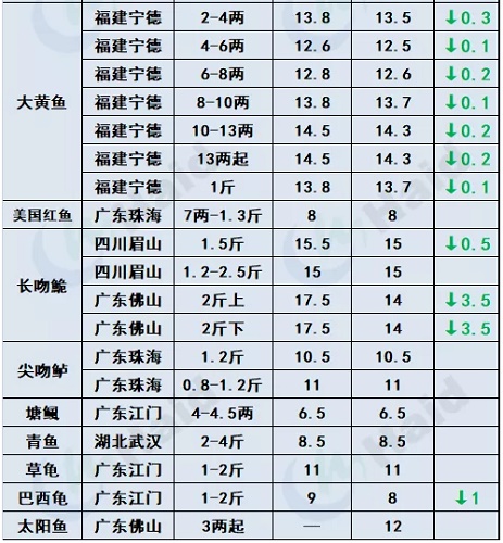 鱼价 |全线涨！广东草鱼种上涨0.5元/斤，生鱼继续攀升！其他品种行情你怎么看？