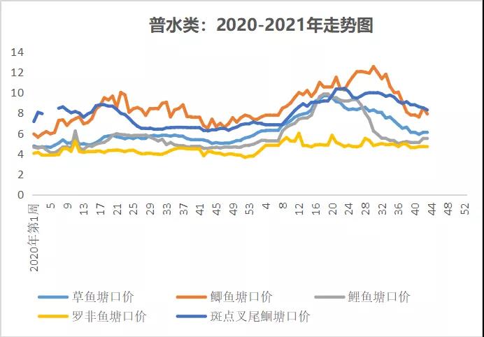 各水产品供应充足，生鱼价格逆势上涨2元/斤！|一周鱼价行情播报