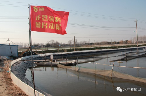 饲料越来越差，赚钱越来越难？这群河蟹养殖户怒了，他们被迫走上“定制饲料”之路