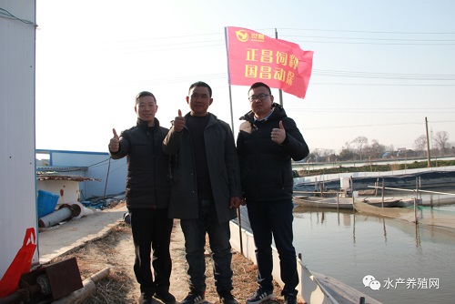 饲料越来越差，赚钱越来越难？这群河蟹养殖户怒了，他们被迫走上“定制饲料”之路