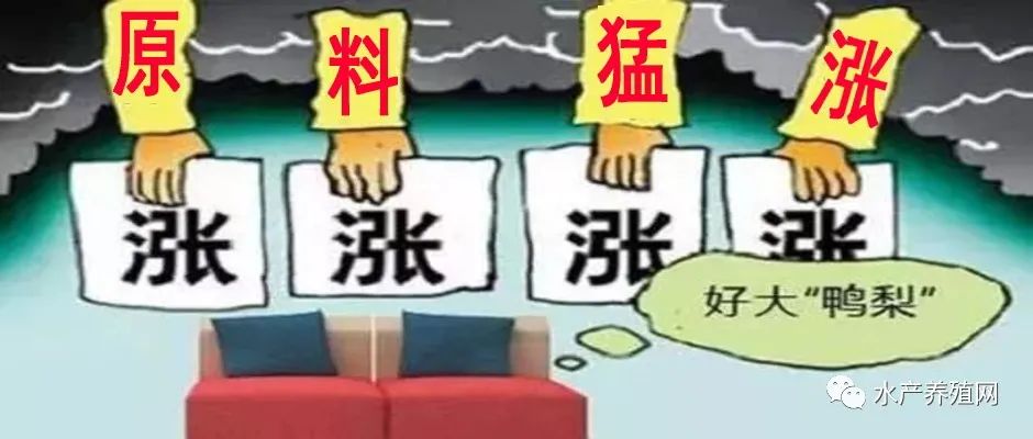 养殖户惨到怀疑人生？饲料涨价，病害爆发，鱼价下跌！豆粕主流价格涨到5050元/吨