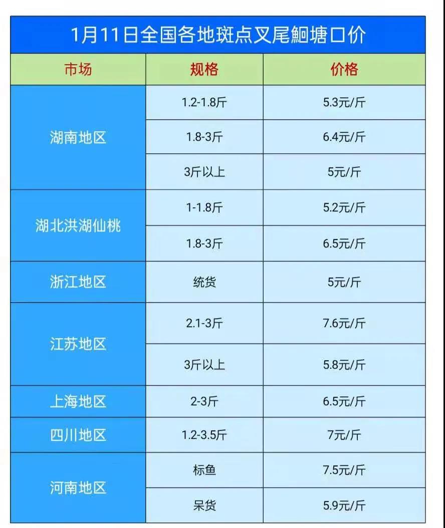 天寒地冻，t鱼没有意料之中的好行情？湖南有养殖户开始晒鱼干？