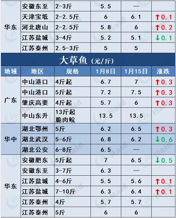 鱼价行情 | 草鱼再涨0.6元/斤！这波涨势凶猛，会一直涨到春节吗？