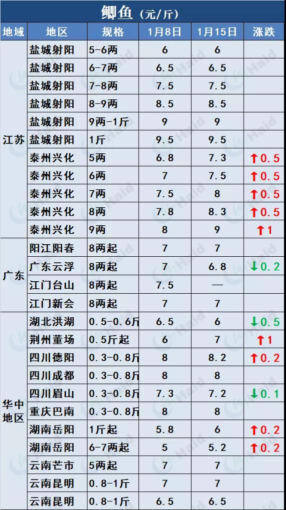 鱼价行情 | 草鱼再涨0.6元/斤！这波涨势凶猛，会一直涨到春节吗？