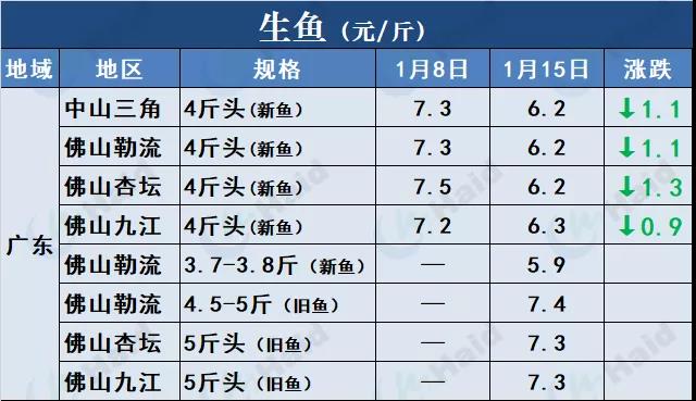 鱼价行情 | 草鱼再涨0.6元/斤！这波涨势凶猛，会一直涨到春节吗？