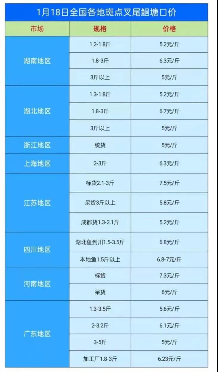 雾里看花！t鱼价格走势如何？流通商：价格涨跌不定，销量比往年少三分之一甚至一半！