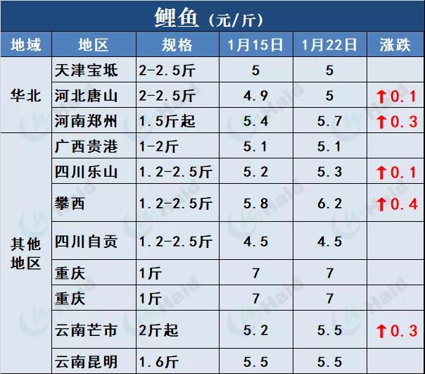 鱼价行情 | 势头不减！草鱼还在上涨！其他品种的鱼呢？