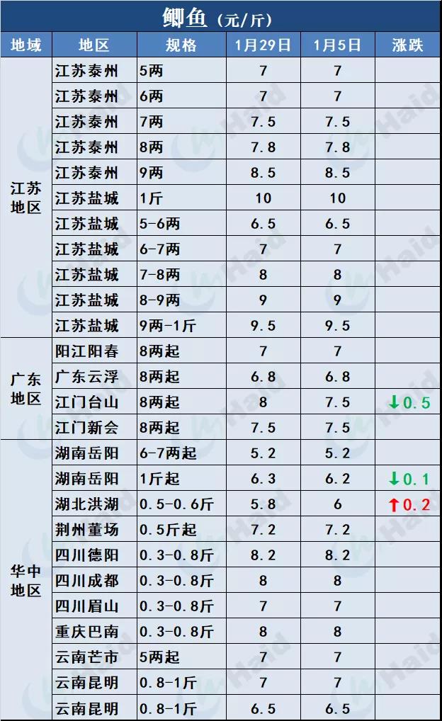 鱼价行情 | 鱼价冲呀！马上就要过年了！2月5日全国19种鱼类塘头价