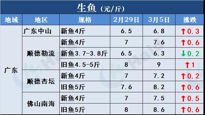 鱼价行情 | 开门红！鱼价全线再上涨，生鱼出现抢鱼潮！