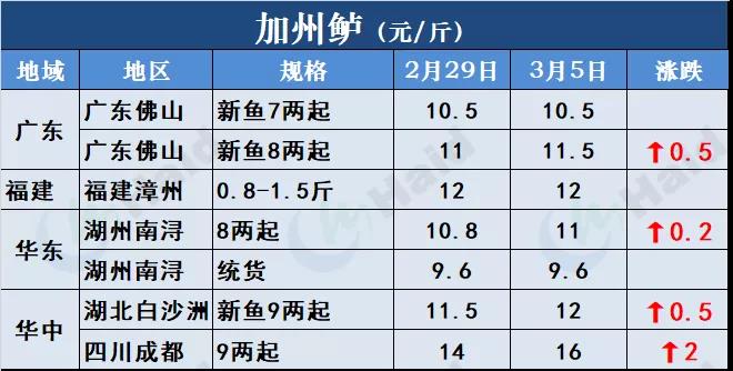 鱼价行情 | 开门红！鱼价全线再上涨，生鱼出现抢鱼潮！