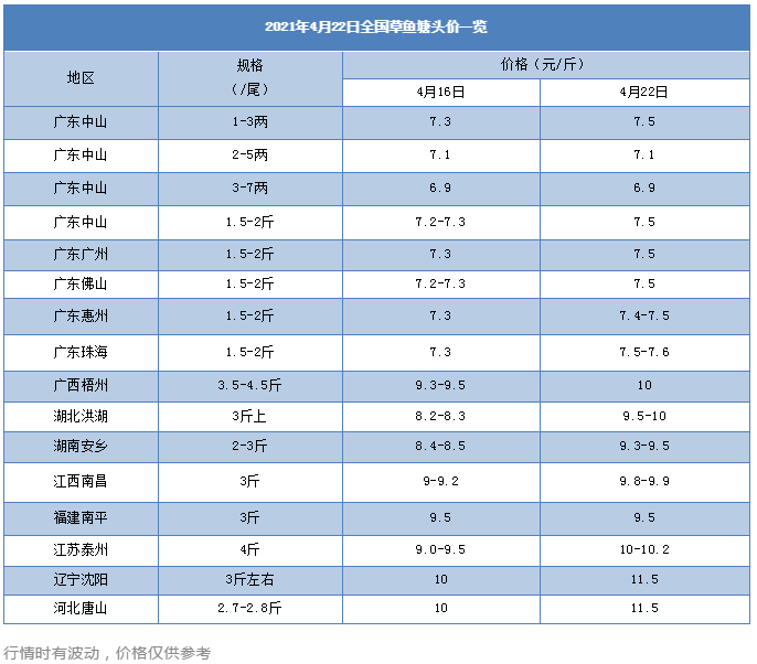 全国闹鱼荒！3斤草鱼塘头卖11.5元/斤！鱼车排长队地毯式“扫塘”抢鱼！