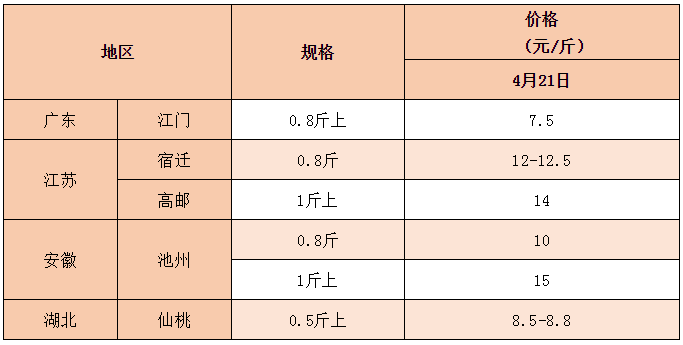 全国大缺鱼！淡水鱼价格一路飙新高，业者表示看好后市